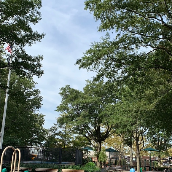 Meet your Posher, Nellie - Picture 1 of 1